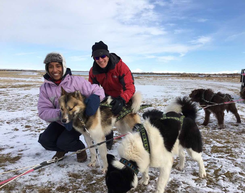 Dog sledding taking a break