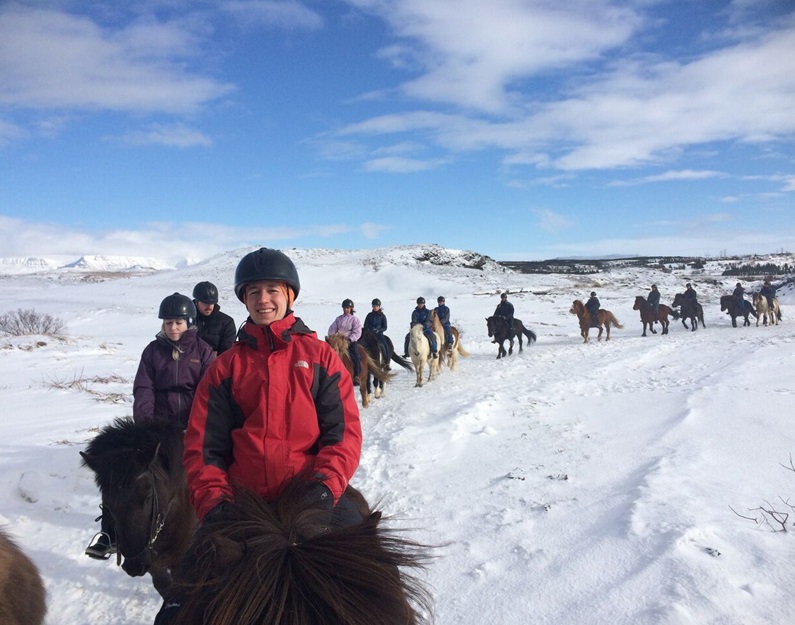Icelandic horse trek weaving around the countryside
