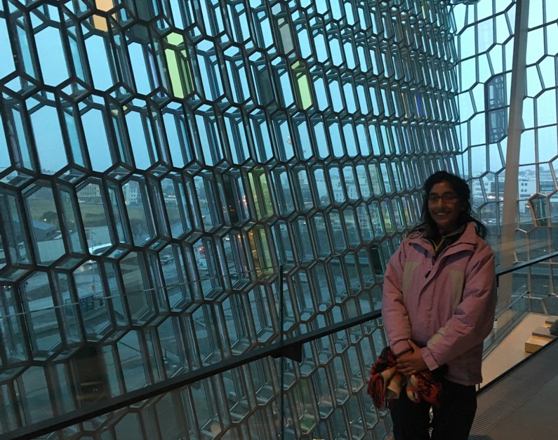 Inside the Harpa Opera House