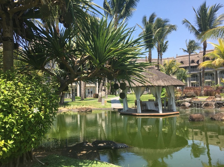 Pond and landscaped gardens