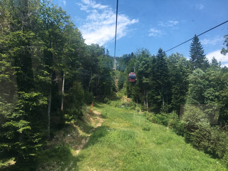 Gondola tree view